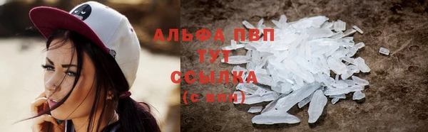 шишки Алзамай