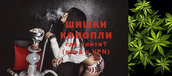 шишки Алзамай