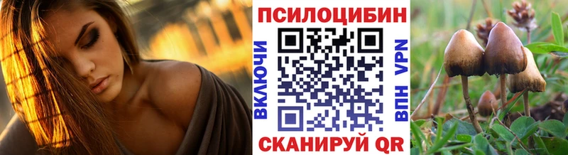 mega Ревда Псилоцибиновые грибы мухоморы где купить наркоту